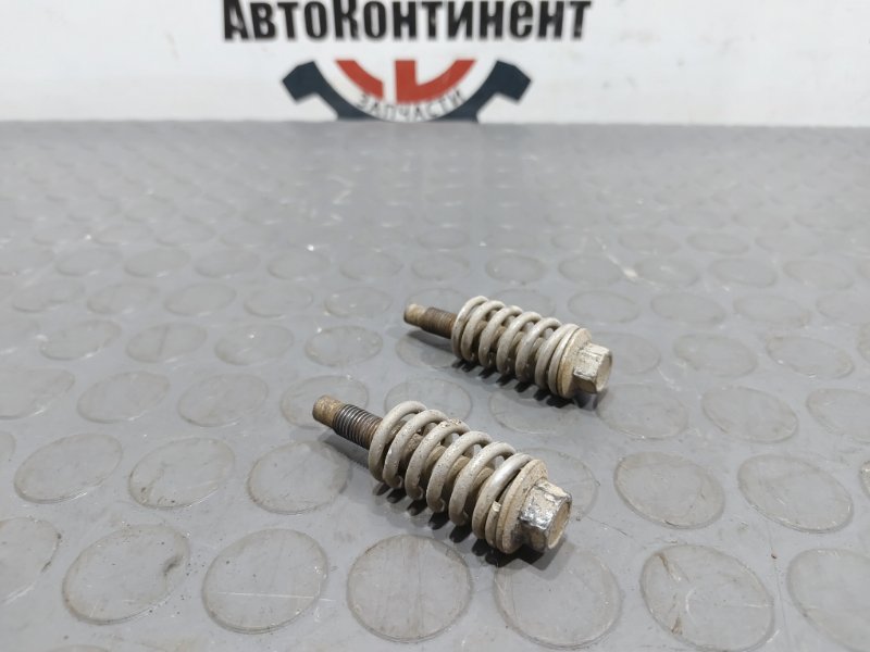 Болт, 1000 рублей, Красноярск