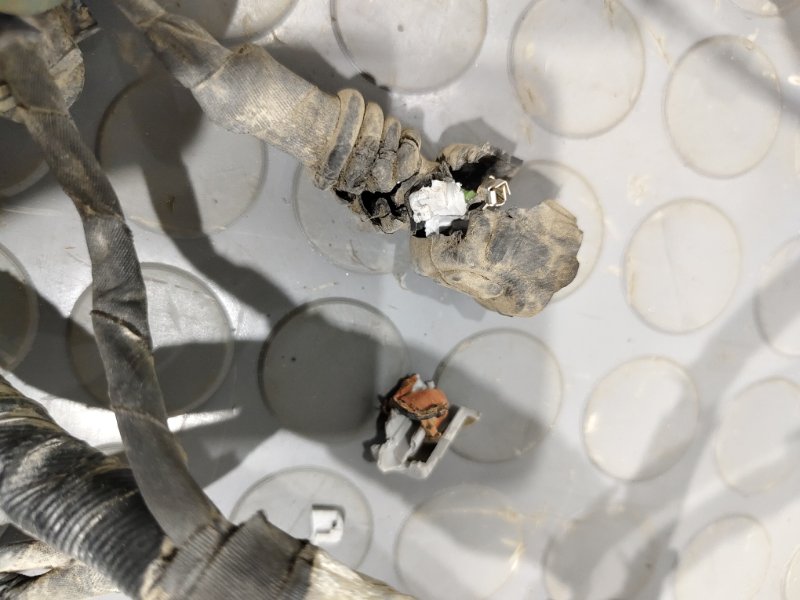 Проводка двигателя, 19000 рублей, Красноярск