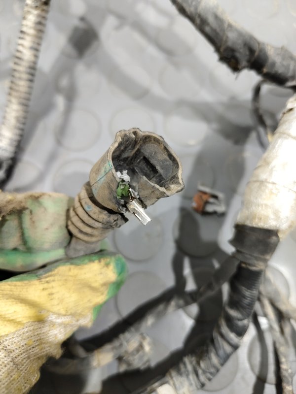 Проводка двигателя, 19000 рублей, Красноярск