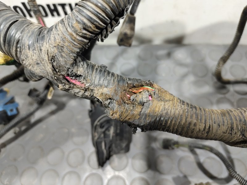 проводка подкапотная, 4500 рублей, Красноярск