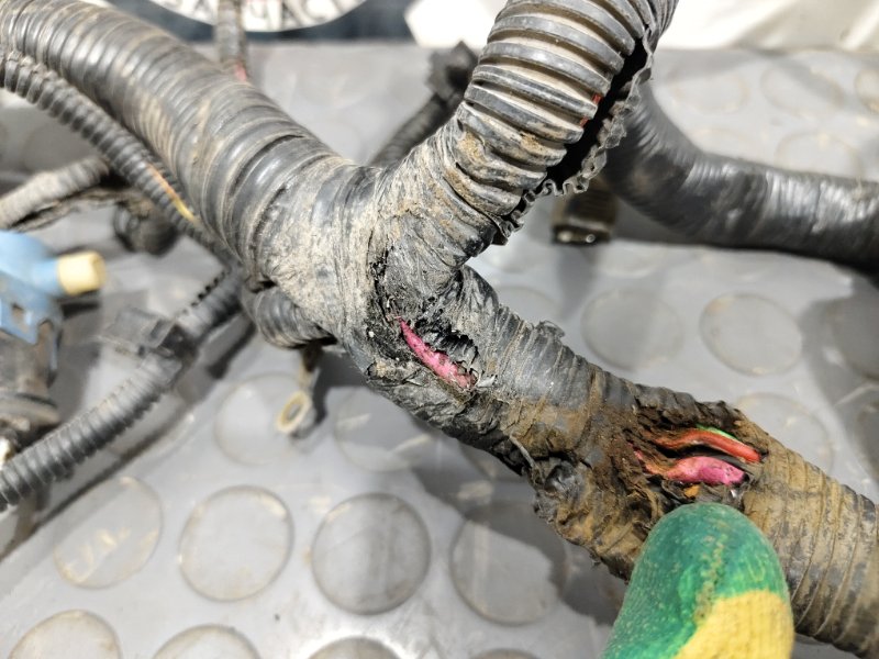 проводка подкапотная, 4500 рублей, Красноярск