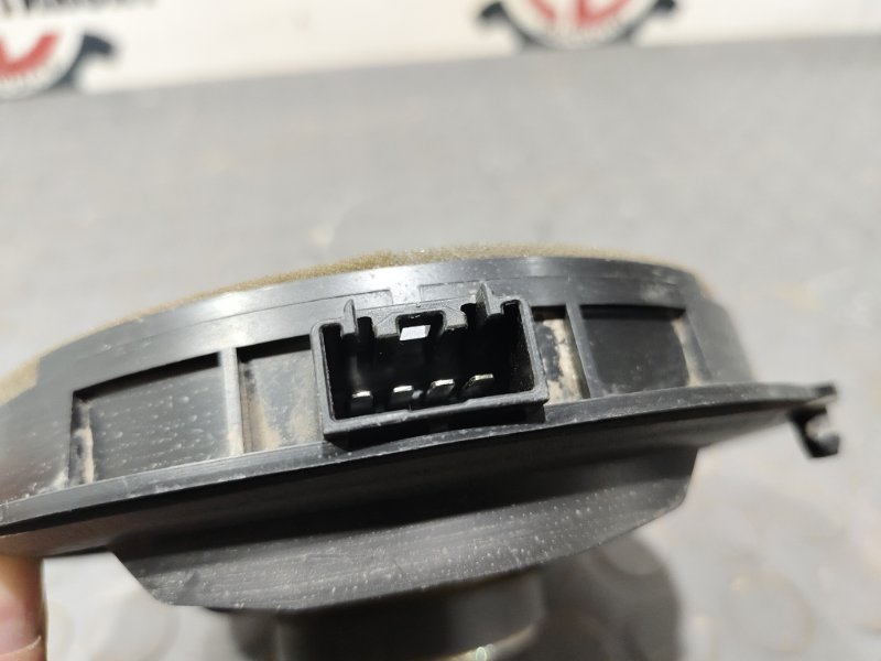 Динамик, 1000 рублей, Красноярск