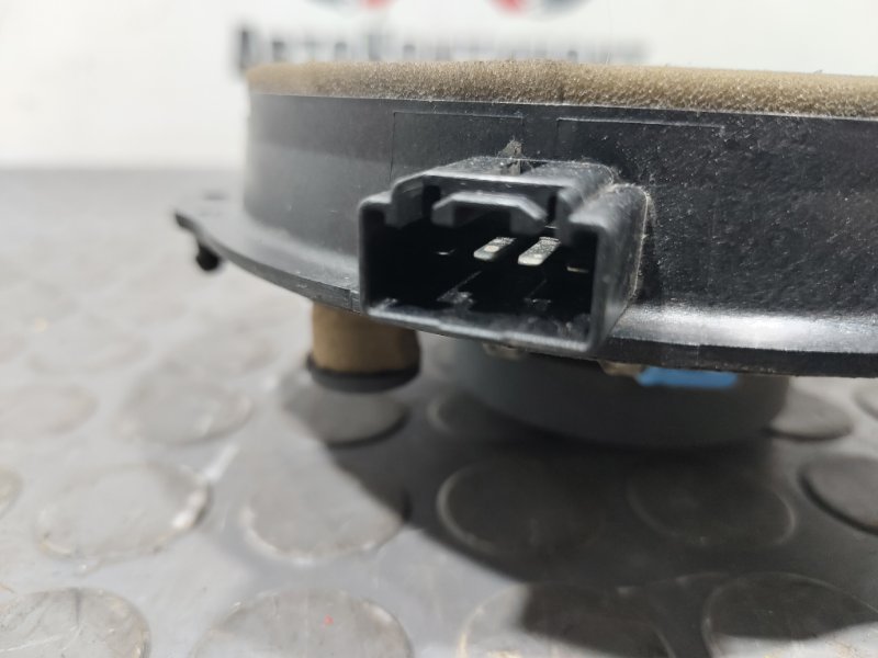 Динамик, 1000 рублей, Красноярск