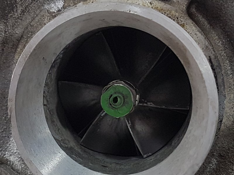 Турбина, 19000 рублей, Красноярск