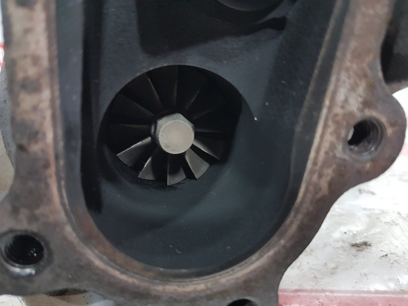 Турбина, 19000 рублей, Красноярск