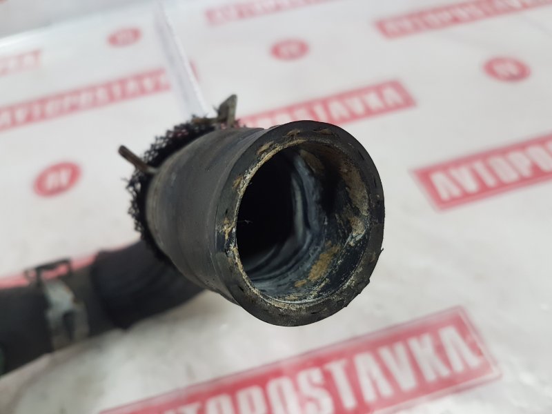 Шланг радиатора, 500 рублей, Красноярск