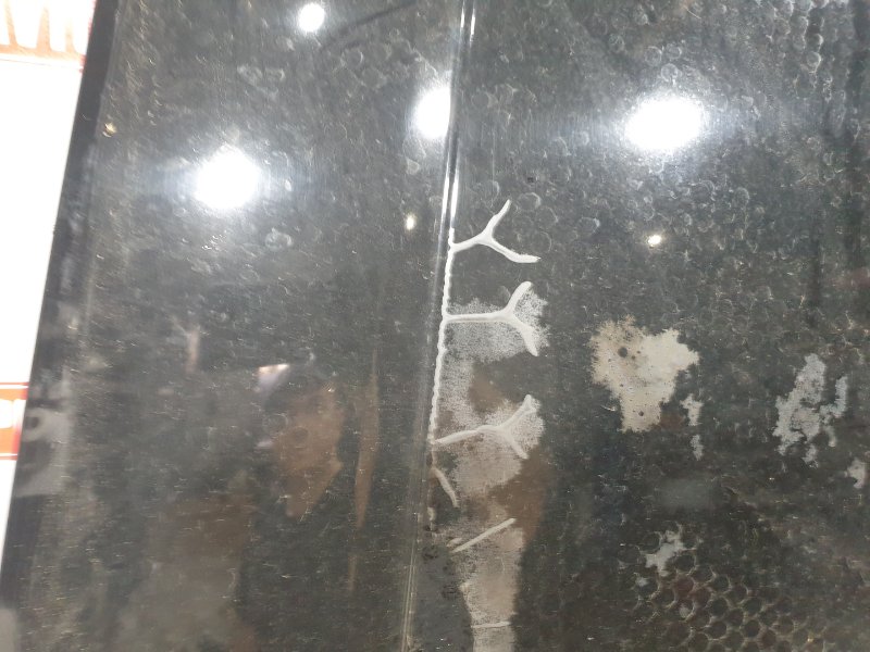 Капот, 8500 рублей, Красноярск