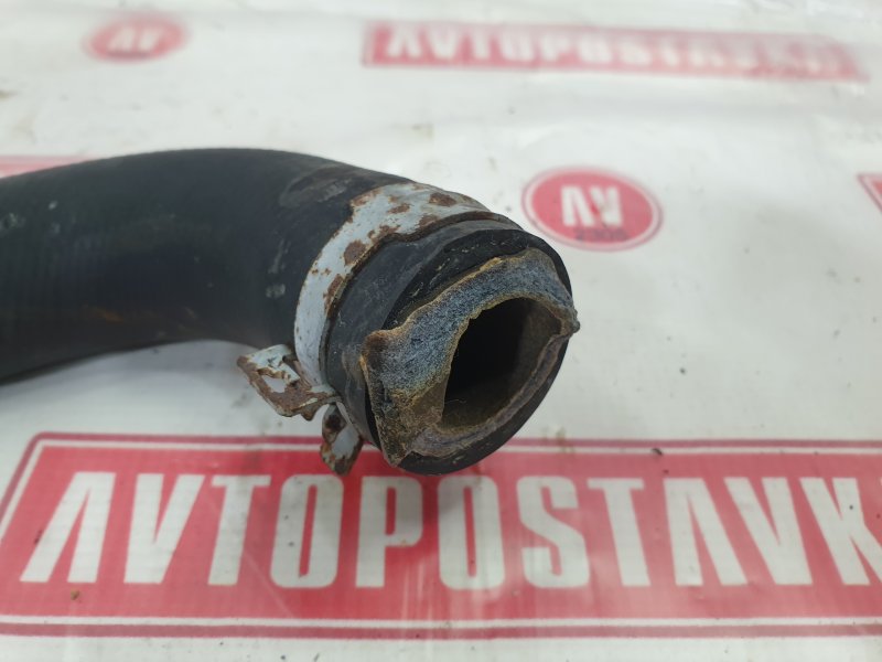 Шланг радиатора, 300 рублей, Красноярск