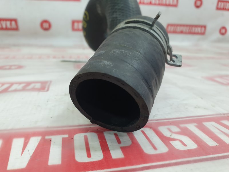 Шланг радиатора, 500 рублей, Красноярск