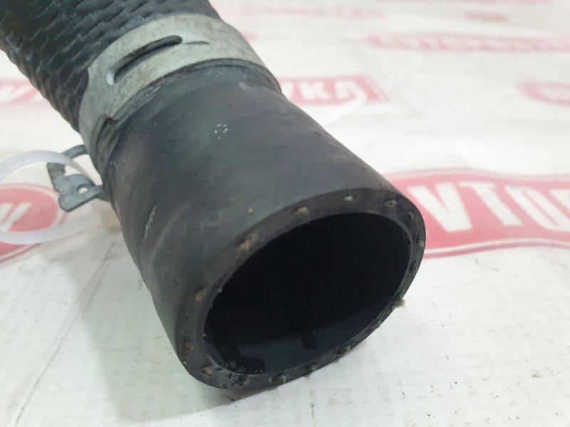 Шланг радиатора, 500 рублей, Красноярск