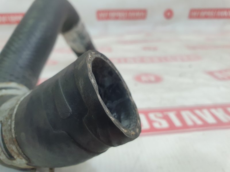 Шланг радиатора, 500 рублей, Красноярск