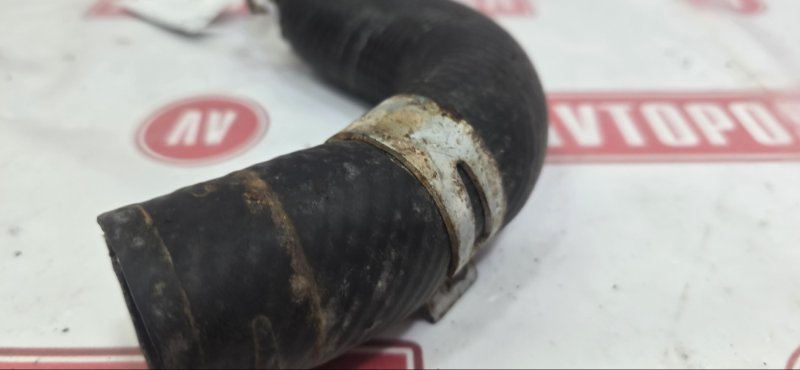 Шланг радиатора, 500 рублей, Красноярск