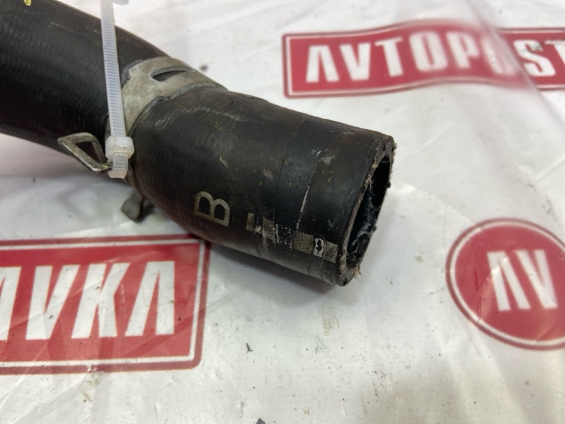 Шланг радиатора, 500 рублей, Красноярск