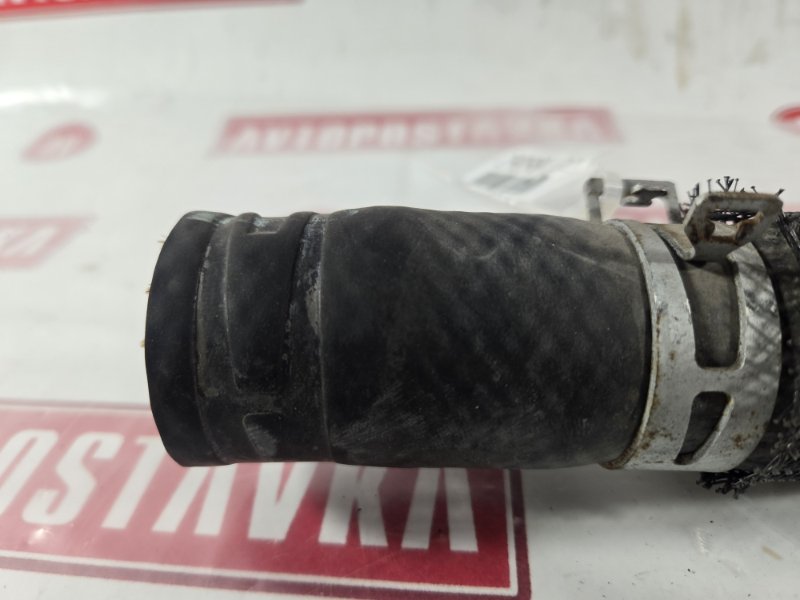 Шланг радиатора, 600 рублей, Красноярск