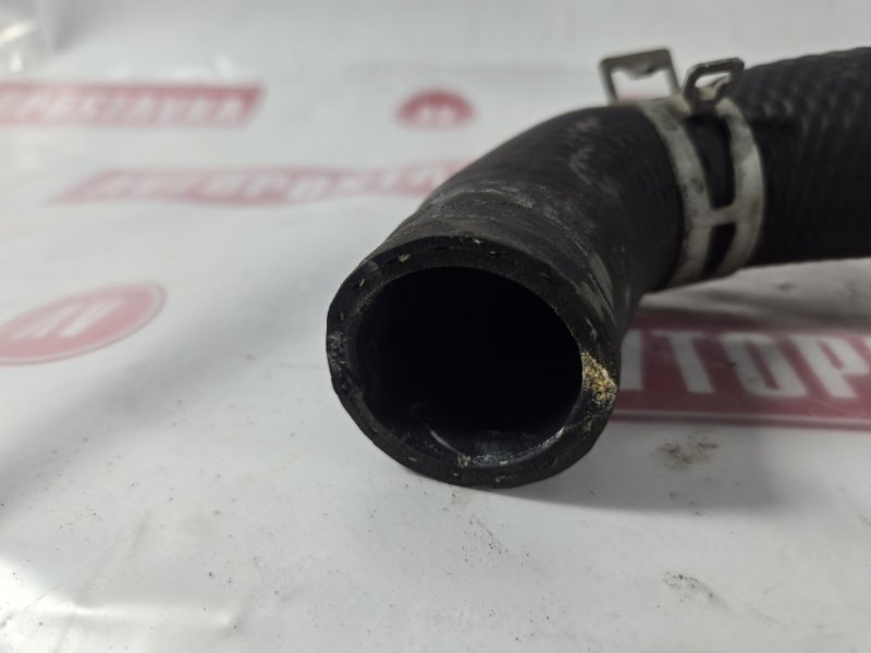 Шланг радиатора, 350 рублей, Красноярск