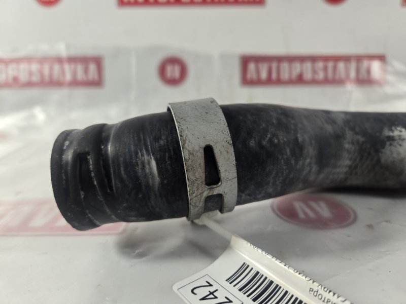 Шланг радиатора, 500 рублей, Красноярск