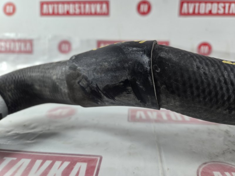 Шланг радиатора, 400 рублей, Красноярск