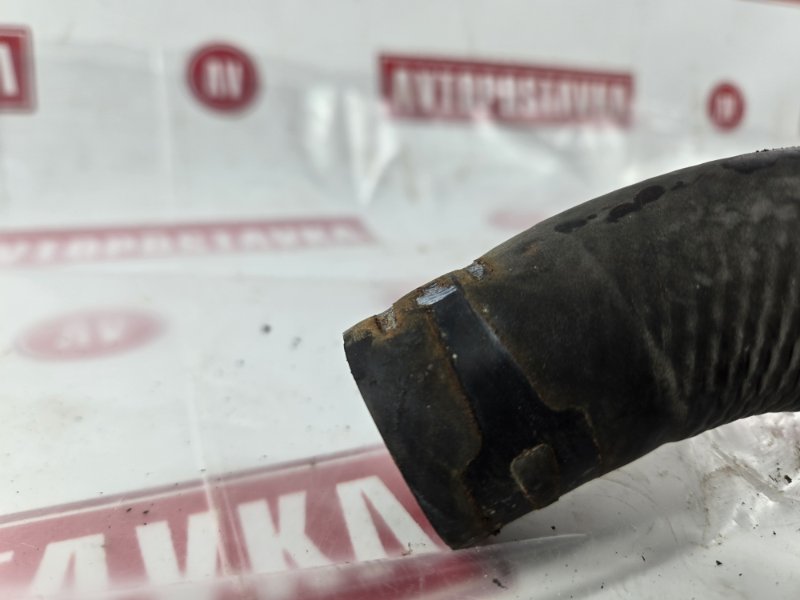 Шланг радиатора, 500 рублей, Красноярск