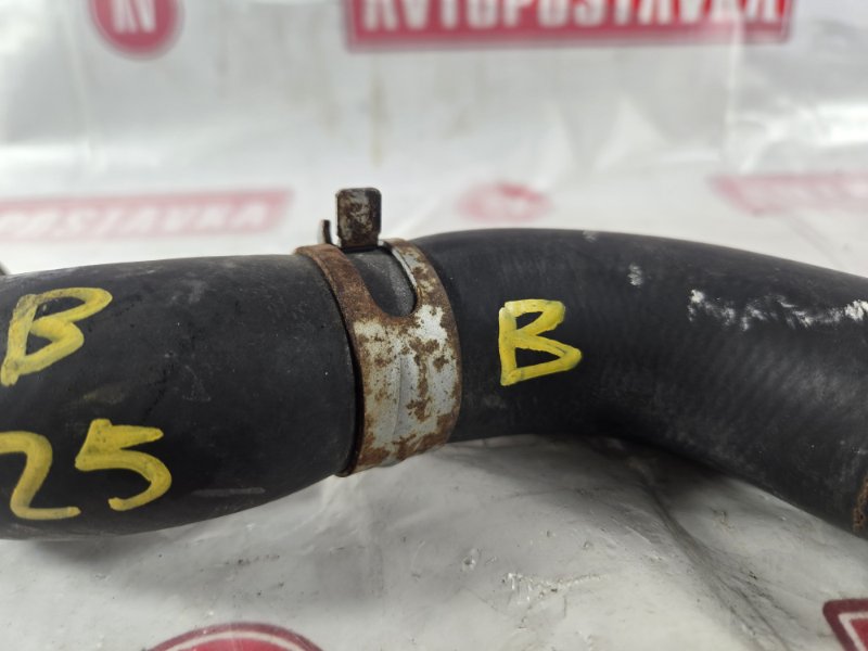 Шланг радиатора, 500 рублей, Красноярск