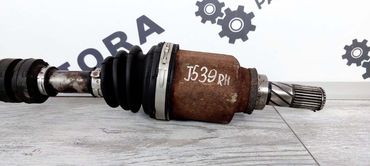 Привод, 3900 рублей, Лосино-Петровский