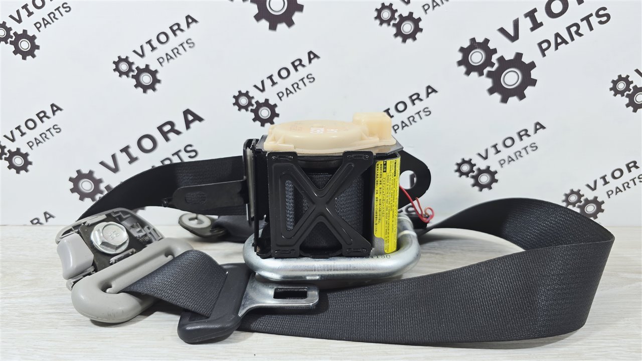 Ремень безопасности, 2000 рублей, Лосино-Петровский