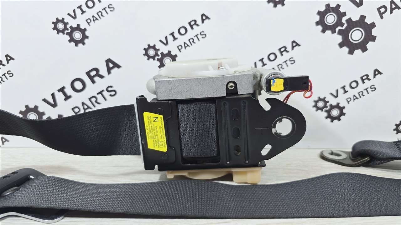 Ремень безопасности, 2000 рублей, Лосино-Петровский