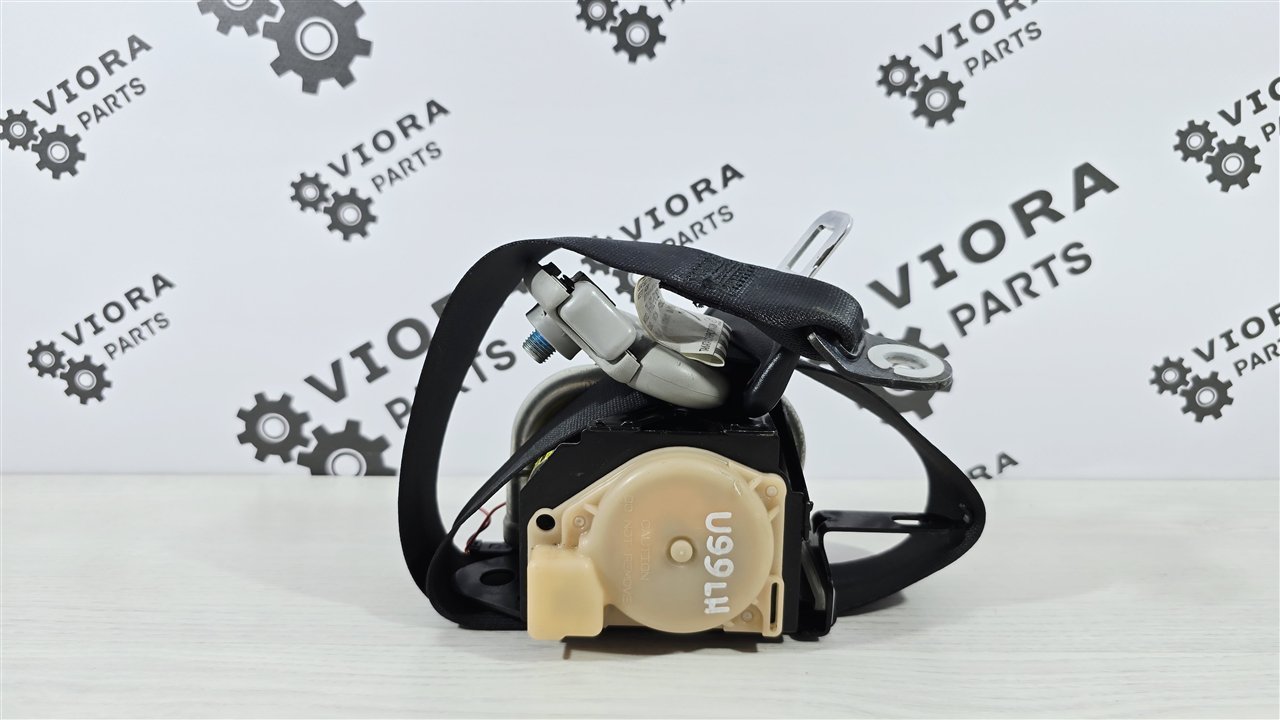 Ремень безопасности, 2000 рублей, Лосино-Петровский