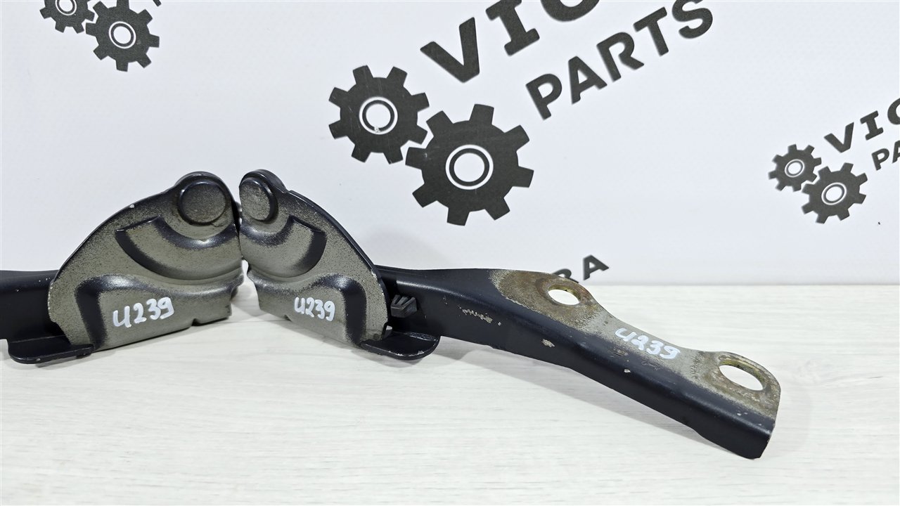 Петли капота, 2000 рублей, Лосино-Петровский