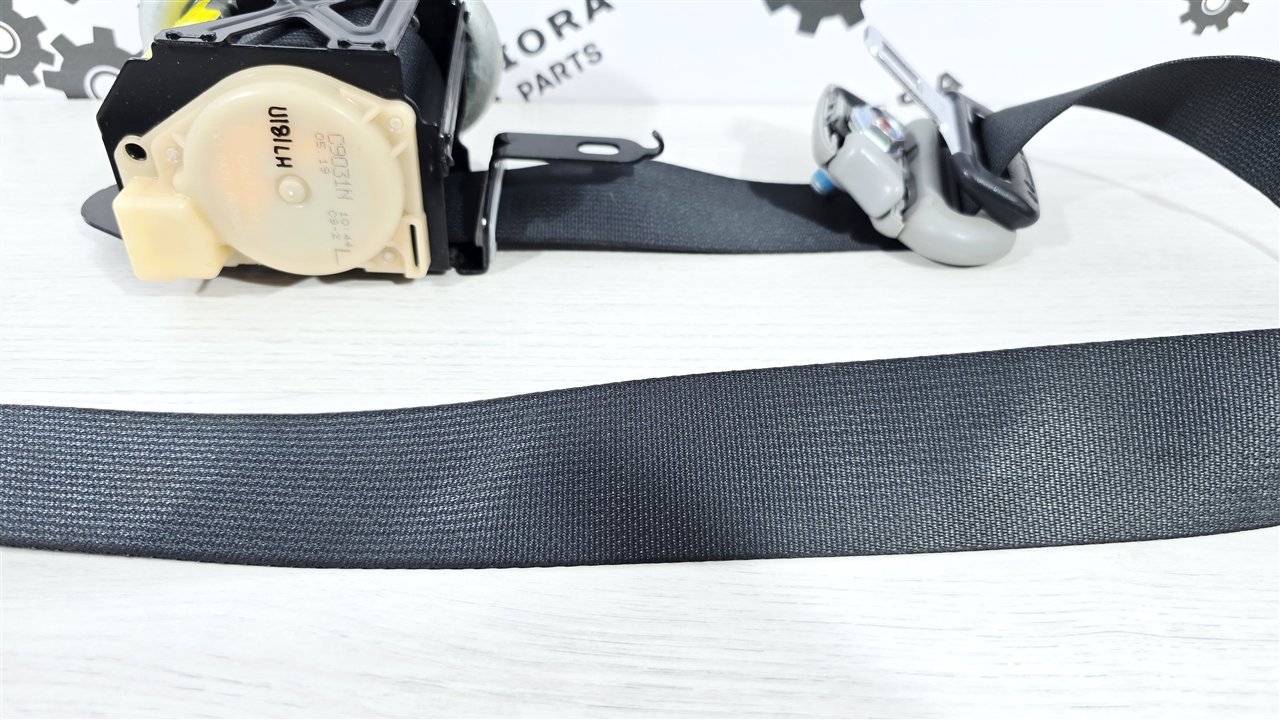 Ремень безопасности, 2000 рублей, Лосино-Петровский