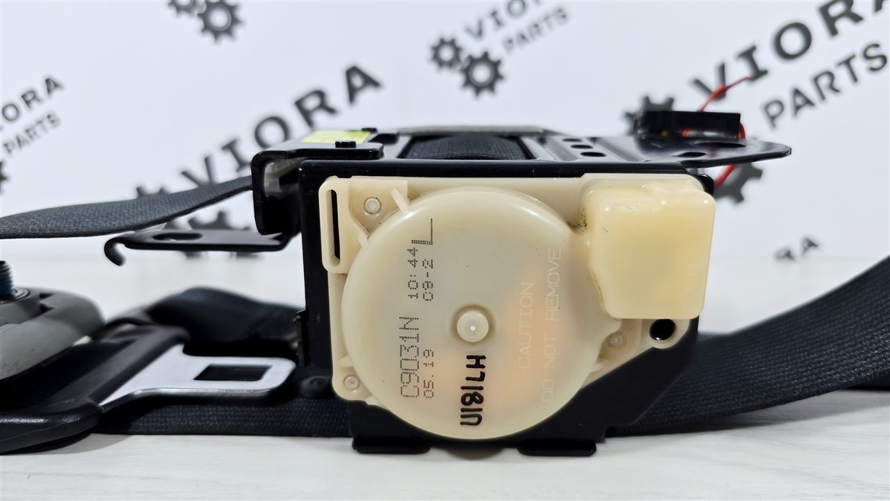 Ремень безопасности, 2000 рублей, Лосино-Петровский