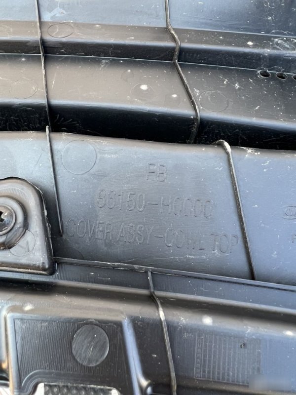 Жабо, 8000 рублей, Кузнецово