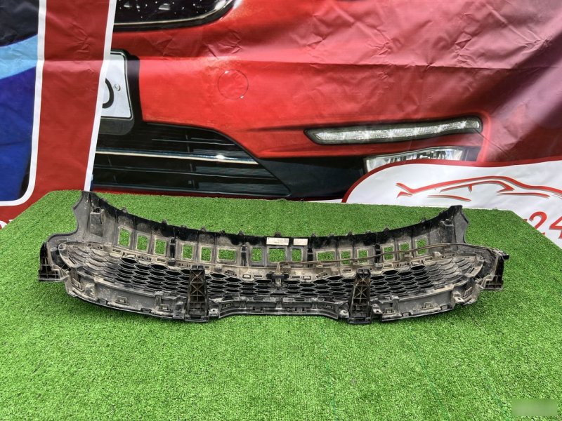 Решетка радиатора, 35000 рублей, Кузнецово