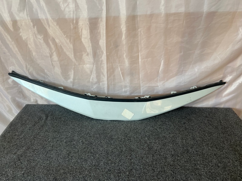 Накладка на решетку радиатора, 8000 рублей, Кузнецово