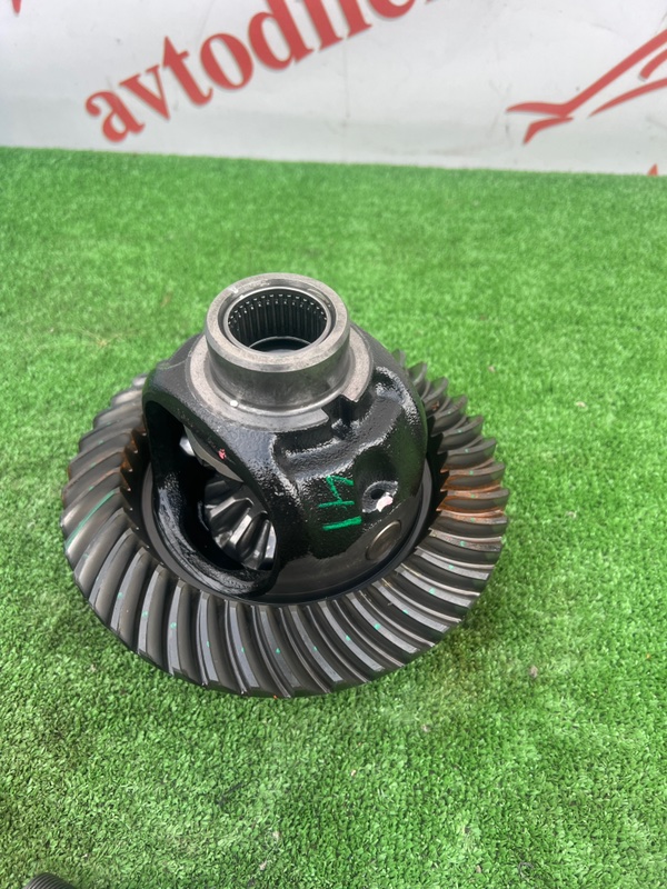 Главная пара, 50000 рублей, Красноярск