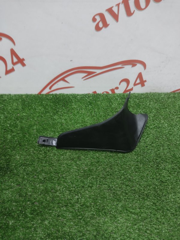 Брызговик, 1000 рублей, Красноярск