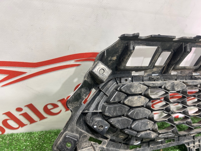 Решетка радиатора, 3000 рублей, Кузнецово