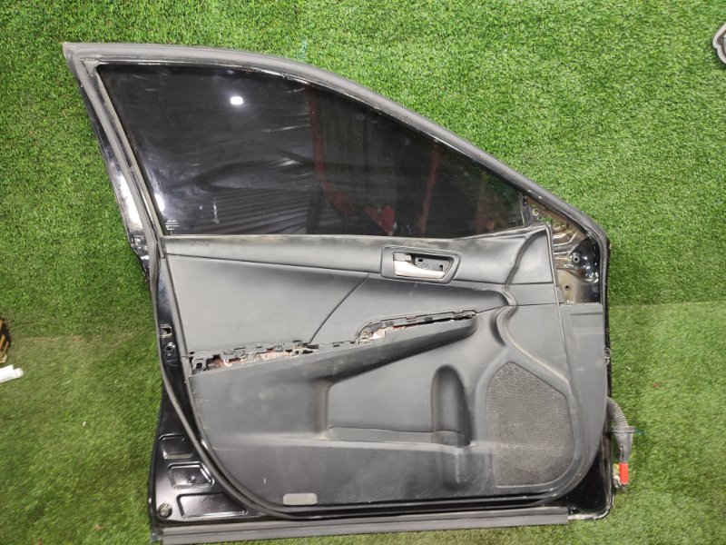 Дверь, 30000 рублей, Пешки