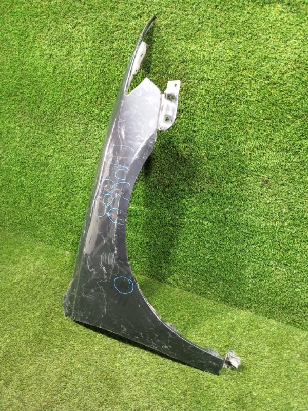 Крыло, 5000 рублей, Пешки