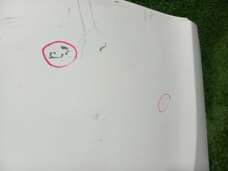 Дверь, 27000 рублей, Пешки