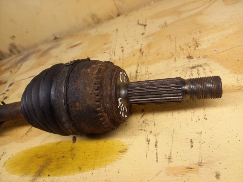 Привод, 8000 рублей, Пешки