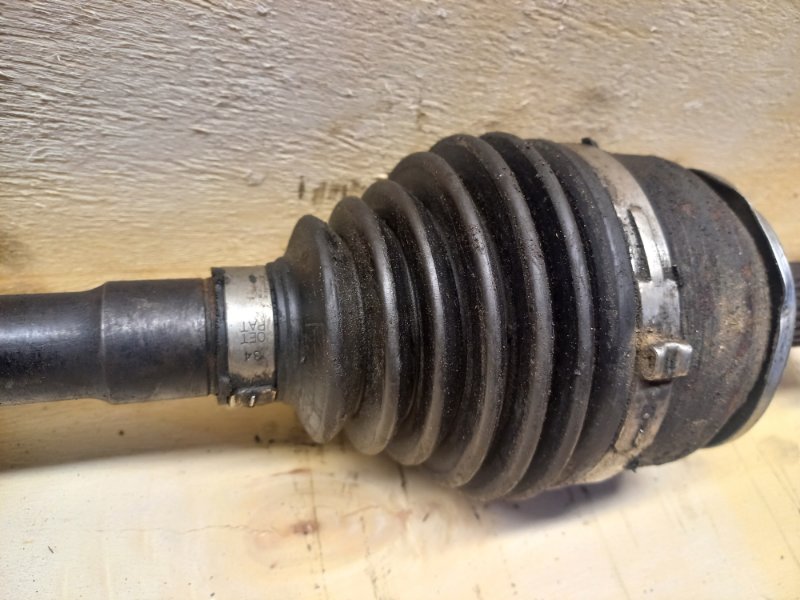 Привод, 12000 рублей, Пешки