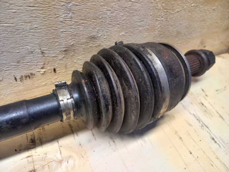 Привод, 15000 рублей, Пешки