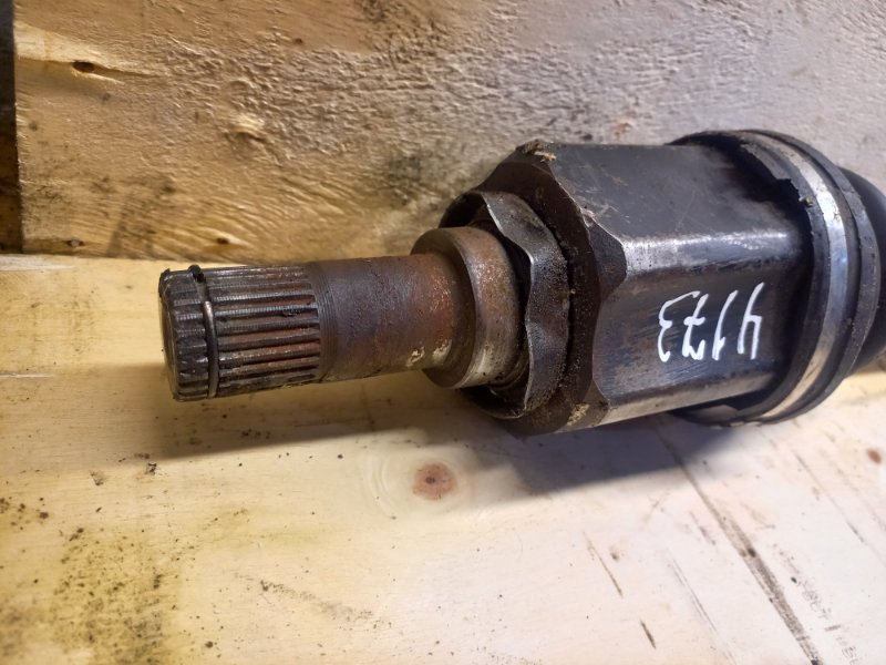 Привод, 15000 рублей, Пешки