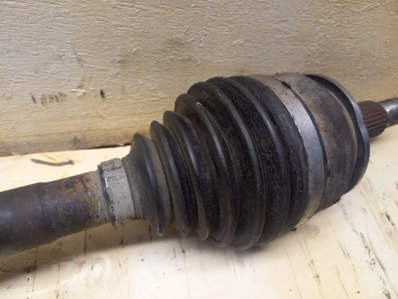 Привод, 15000 рублей, Пешки