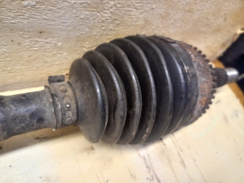 Привод, 12000 рублей, Пешки