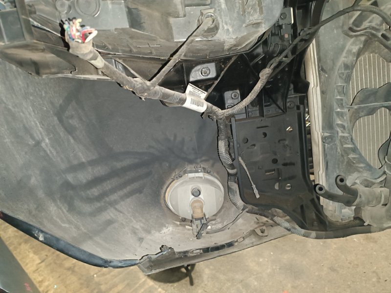 НОУСКАТ, 60000 рублей, Пешки