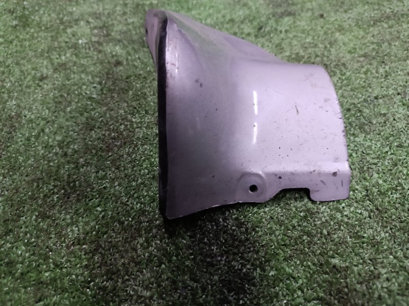 Брызговик, 1000 рублей, Пешки