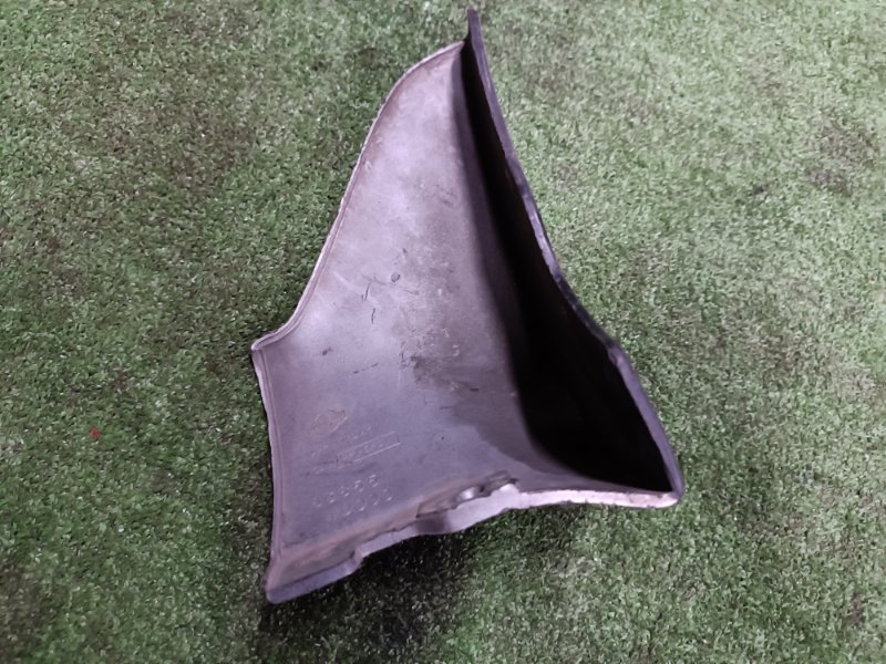 Брызговик, 1000 рублей, Пешки