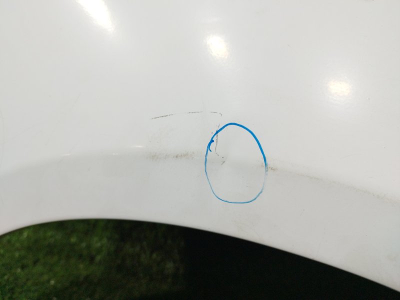 Крыло, 10000 рублей, Пешки