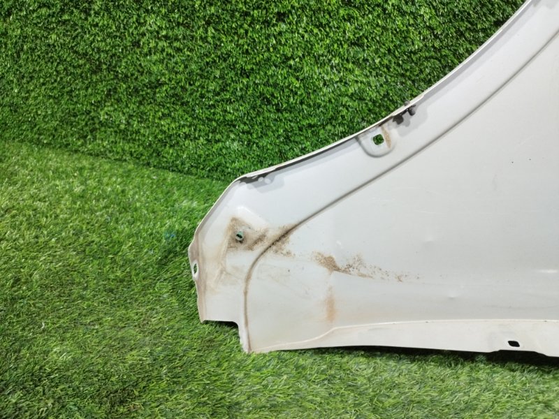 Крыло, 10000 рублей, Пешки